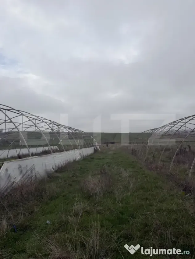Teren intravilan agricol, sere, anexa agricola, 11500 mp ter
