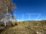 Teren extravilan de 17.183 mp in Târsa