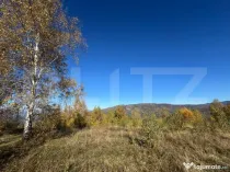 Teren extravilan de 17.183 mp in Târsa