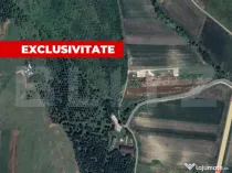 Teren extravilan 5996 mp, zona Valea Sasului - Teius