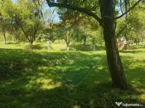 1.72 ha TEREN DE VANZARE - Seini