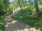 1.72 ha TEREN DE VANZARE - Seini 