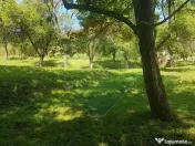 1.72 ha TEREN DE VANZARE - Seini 
