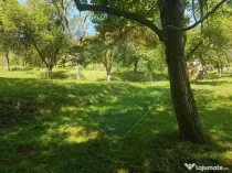 1.72 ha TEREN DE VANZARE - Seini