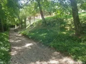 1.72 ha TEREN DE VANZARE - Seini 