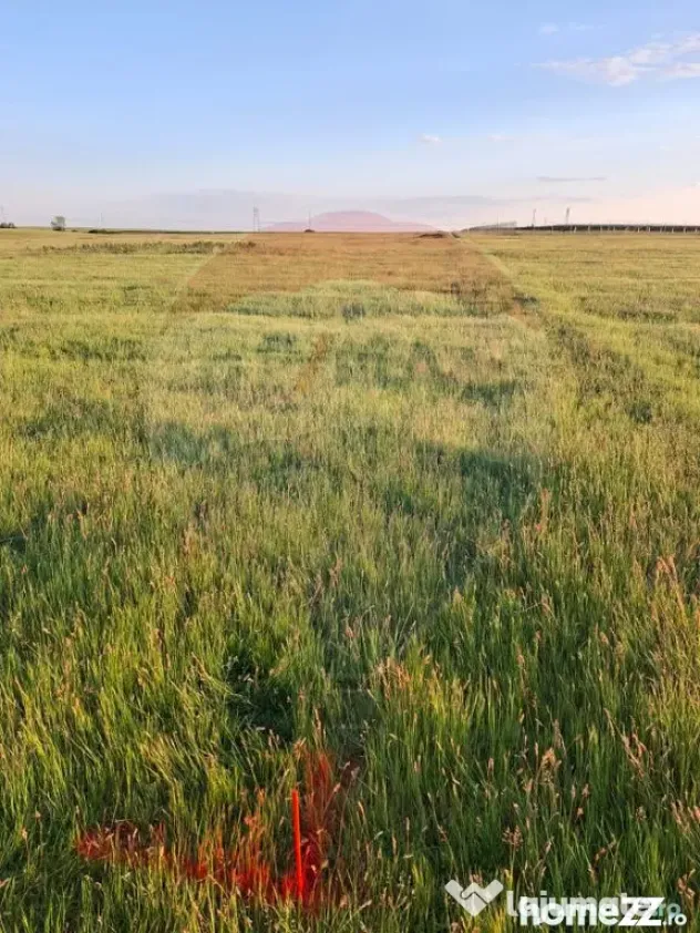 Teren intravilan, zona in plina dezvoltare industriala lo... - Frumuseni (Arad)