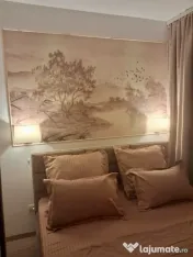 Apartament superb 3 camere Drumul Taberei liceul Moisil mobi 