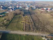 TEREN DE VANZARE MAGURA 