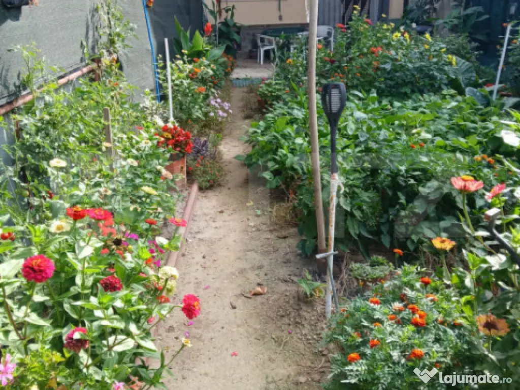 Casă 4 camere, 146 mp, zona 14 Mai