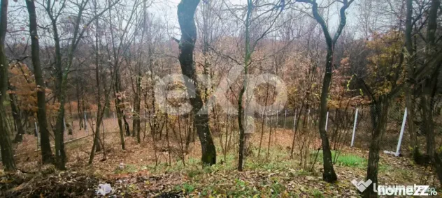 Babana, Slătioarele | Casă modernă, gata de mutare, la 12