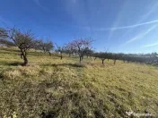 Teren intravilan, Bădeni, parcelabil 