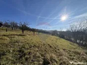 Teren intravilan, Bădeni, parcelabil 