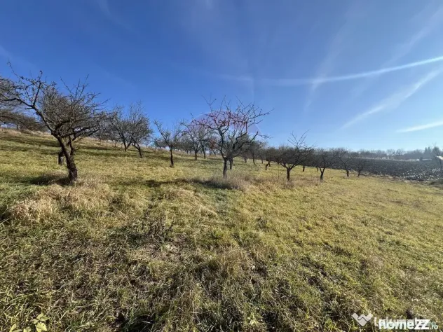 Teren intravilan, Bădeni - Turda, judetul Cluj - Badeni (Cluj)