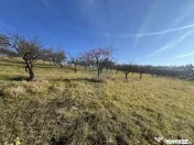 Teren intravilan, Bădeni - Turda, judetul Cluj 