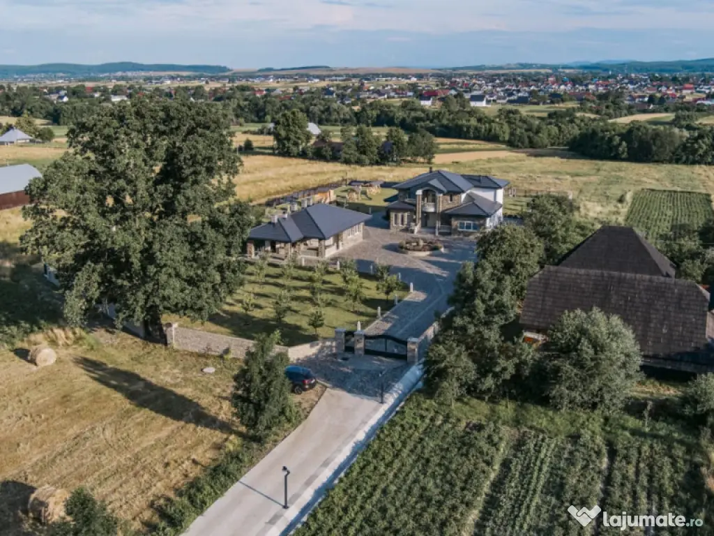 Casa exclusivista cu arhitectură unică, 320mp utili, Horod