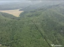 Teren 7 ha, Lac Vidraru, Podis Molivis