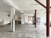 Casa si spatiu de productie in Iosia, teren 839 mp 