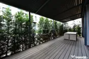 Blue Velvet in Cloud 9– Duplex Parter | Groundfloor Duplex 