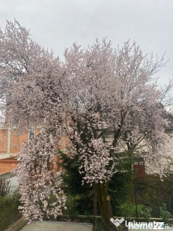 Vila Noua la cheie 520 mp, zona Parcul Mare - Baia Mare (Maramures)