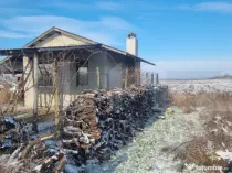 PROPRIETATE AGRICOLĂ PREMIUM – 5 HECTARE CU LIVADĂ DE NU