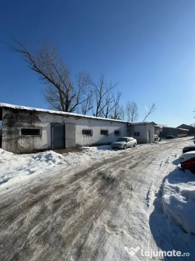 Hală 330 mp cu teren 10 ari, zonă Tanatorio