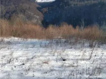 Teren Intravilan Sinaia 444 mp