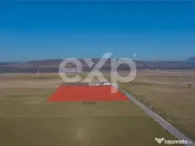 Teren 11.600 mp – Râșnov, zona Tabăra, 230 m de DN 73 