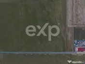 Teren 11.600 mp – Râșnov, zona Tabăra, 230 m de DN 73 