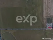 Teren 11.600 mp – Râșnov, zona Tabăra, 230 m de DN 73 