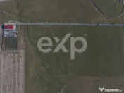 Teren 11.600 mp – Râșnov, zona Tabăra, 230 m de DN 73 