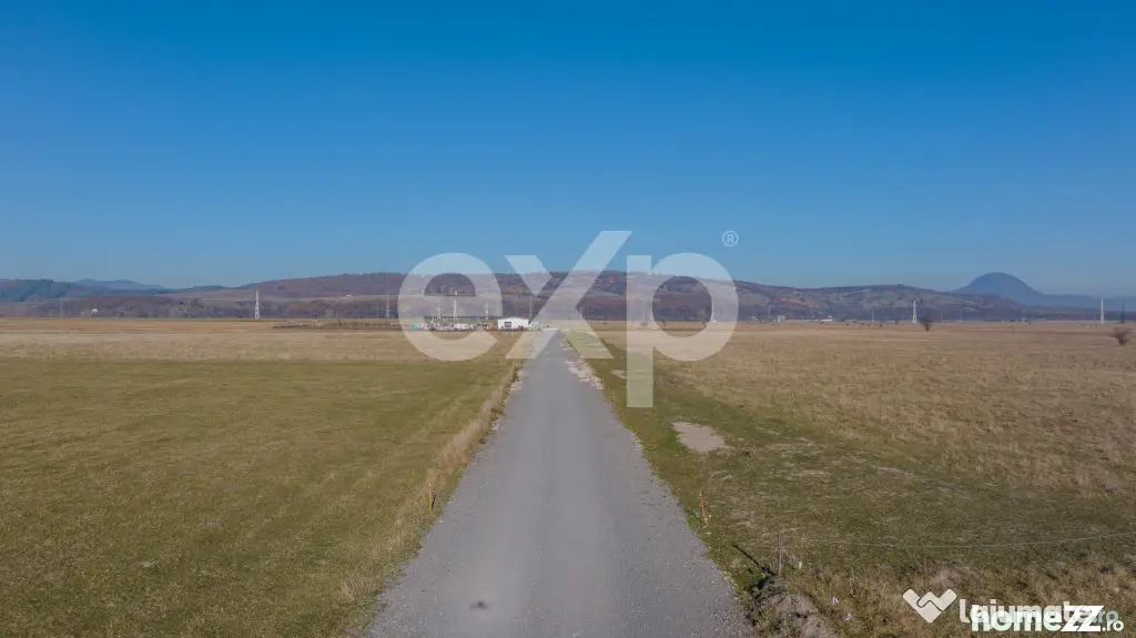 Teren 11.600 mp – Râșnov, zona Tabăra, 230 m de DN 73