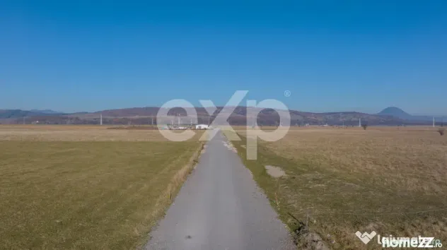 Teren 11.600 mp – Râșnov, zona Tabăra, 230 m de DN 73
