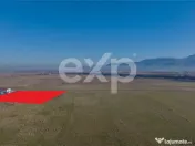 Teren 11.600 mp – Râșnov, zona Tabăra, 230 m de DN 73 