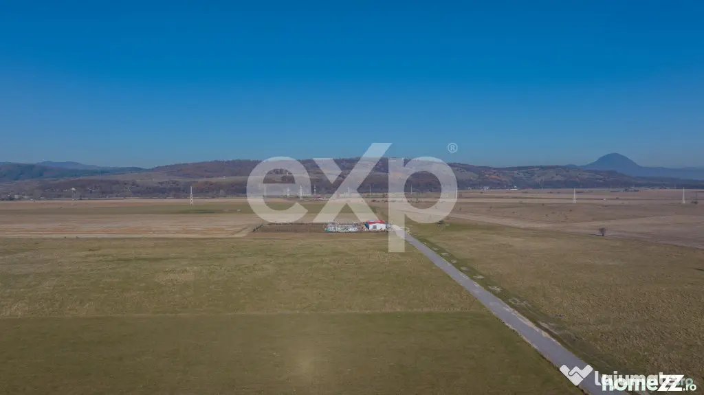 Teren 11.600 mp – Râșnov, zona Tabăra, 230 m de DN 73