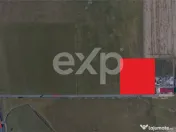 Teren 11.600 mp – Râșnov, zona Tabăra, 230 m de DN 73 