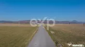 Teren 11.600 mp – Râșnov, zona Tabăra, 230 m de DN 73