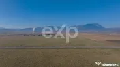 Teren 11.600 mp – Râșnov, zona Tabăra, 230 m de DN 73