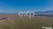 Teren 11.600 mp – Râșnov, zona Tabăra, 230 m de DN 73