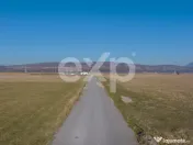 Teren 11.600 mp – Râșnov, zona Tabăra, 230 m de DN 73 