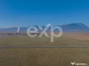 Teren 11.600 mp – Râșnov, zona Tabăra, 230 m de DN 73 