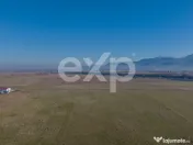 Teren 11.600 mp – Râșnov, zona Tabăra, 230 m de DN 73 
