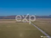 Teren 11.600 mp – Râșnov, zona Tabăra, 230 m de DN 73 