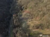 Poiană pentru cabana de vanzare intravilan Coas 