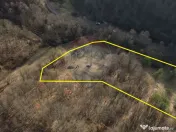 Poiană pentru cabana de vanzare intravilan Coas 