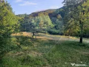 Poiană pentru cabana de vanzare intravilan Coas 