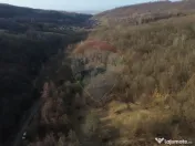 Poiană pentru cabana de vanzare intravilan Coas 