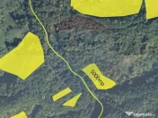 Poiană pentru cabana de vanzare intravilan Coas 