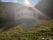 Poiană pentru cabana de vanzare intravilan Coas 