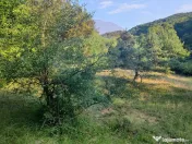 Poiană pentru cabana de vanzare intravilan Coas 