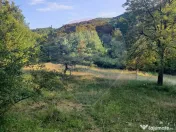 Poiană pentru cabana de vanzare intravilan Coas 